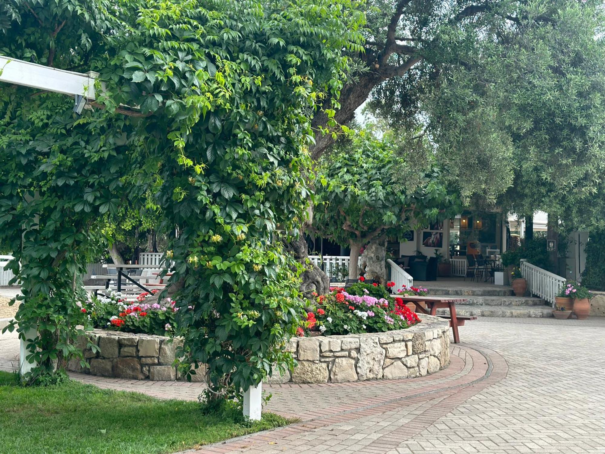 Amnisiades Apartments Karteros Bagian luar foto